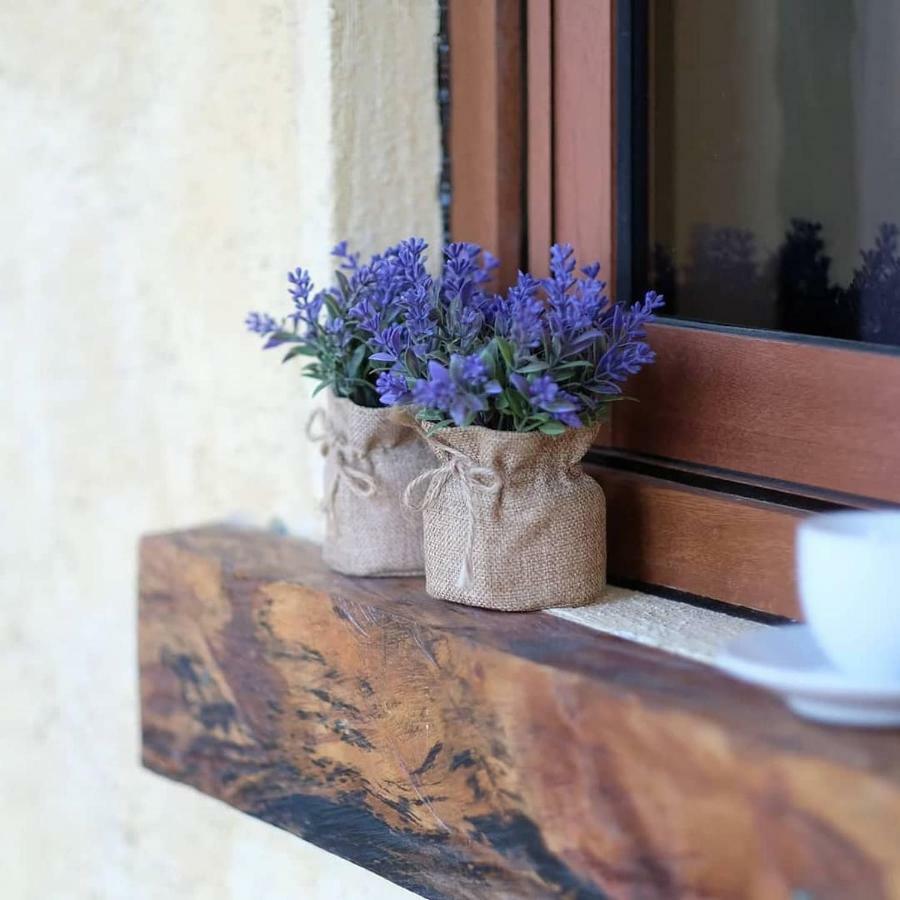 La Casa Di Beatrice Bed and Breakfast Panglao Εξωτερικό φωτογραφία