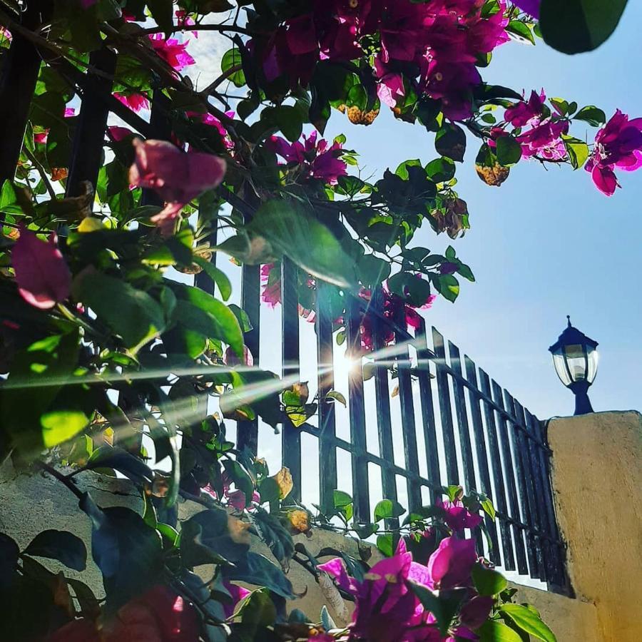 La Casa Di Beatrice Bed and Breakfast Panglao Εξωτερικό φωτογραφία