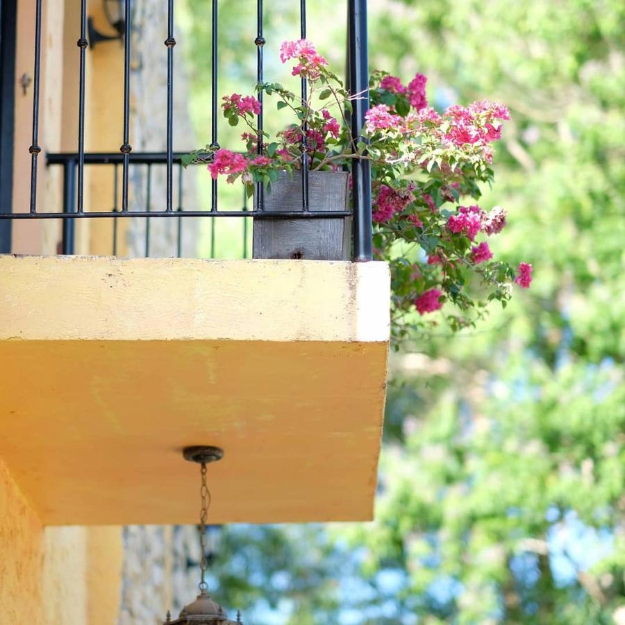 La Casa Di Beatrice Bed and Breakfast Panglao Εξωτερικό φωτογραφία